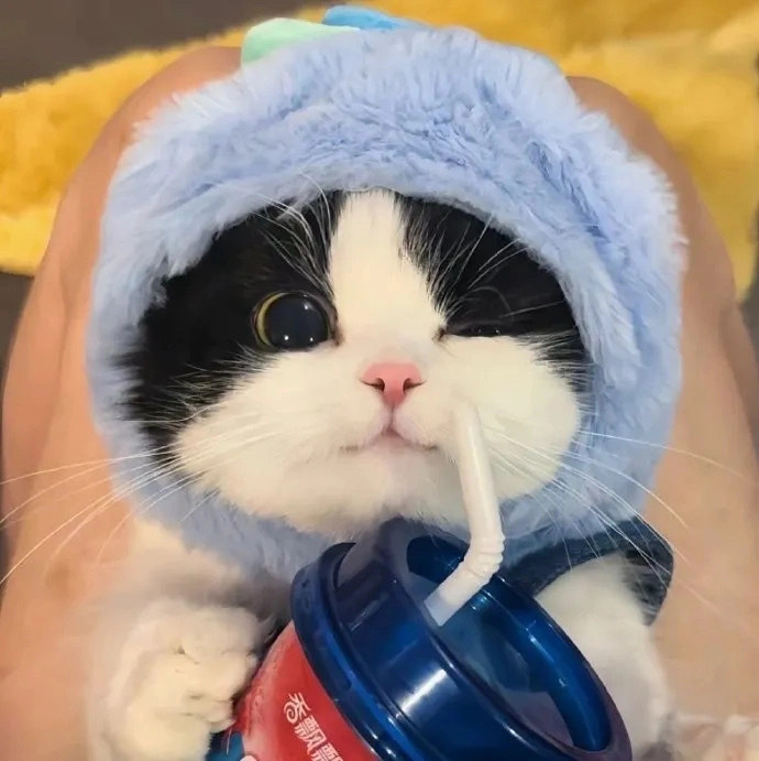 易盟网的头像-易盟网