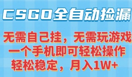 CSGO自动捡漏项目，最新独家玩法，一个手机可操作，新手小白轻松月入1W+，操作简单易上手【揭秘】-易盟网
